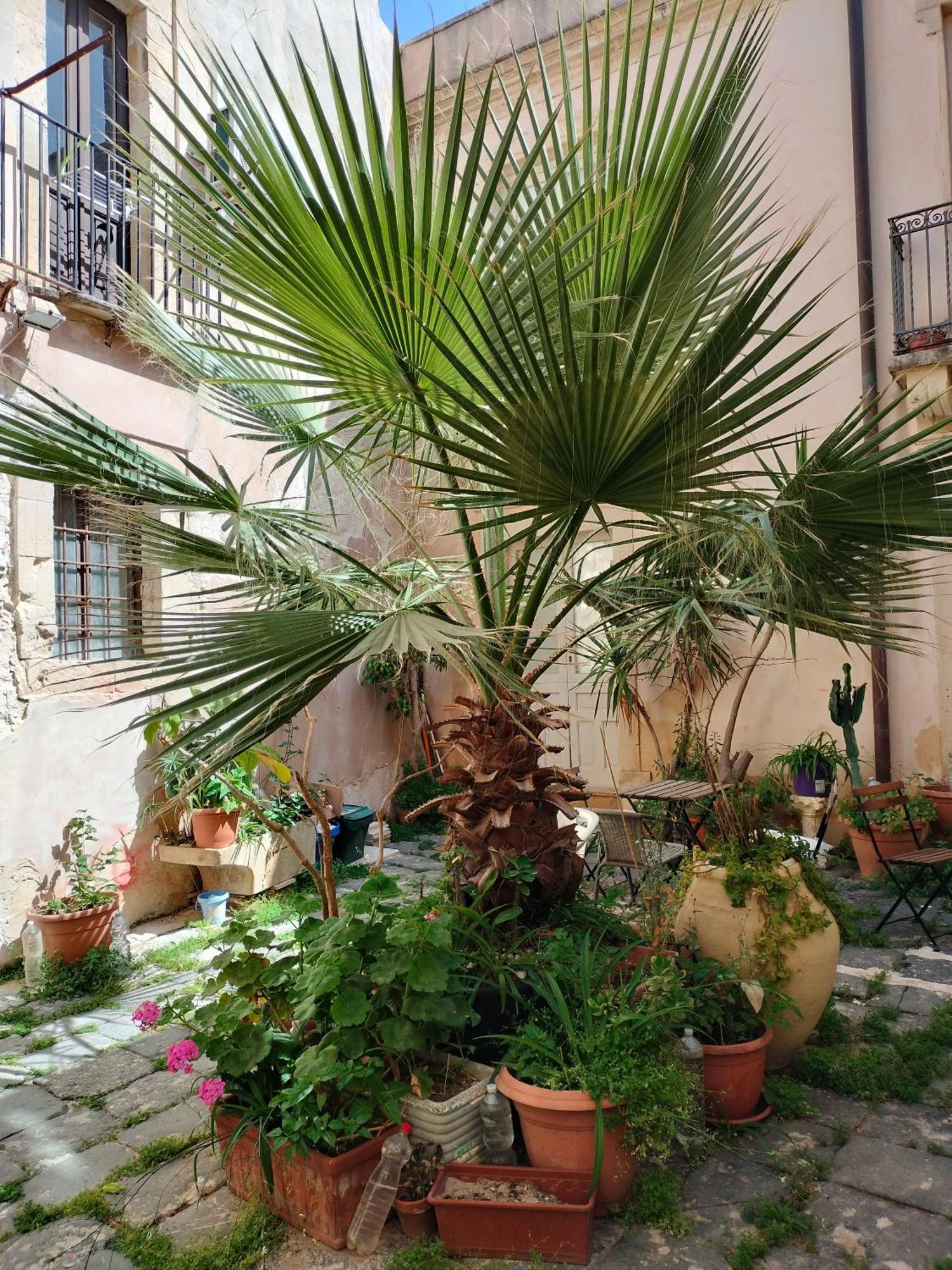 Casa La Palma Di Ortigia Lejlighed Syracuse Eksteriør billede